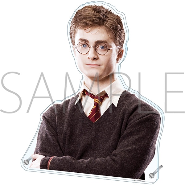[Pre-order] [Made to Order] Harry Potter Extra Large Die-Cut Acrylic Panel (Harry Potter)
